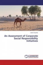 An Assessment of Corporate Social Responsibility Initiatives
