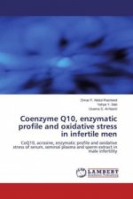 Coenzyme Q10, enzymatic profile and oxidative stress in infertile men