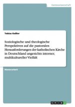 Soziologische und theologische Perspektiven auf die pastoralen Herausforderungen der katholischen Kirche in Deutschland angesichts interner, multikult
