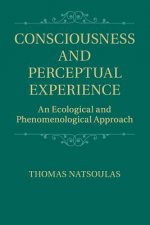 Consciousness and Perceptual Experience