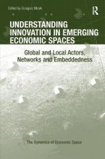 Understanding Innovation in Emerging Economic Spaces