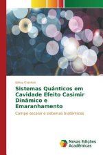 Sistemas Quanticos em Cavidade Efeito Casimir Dinamico e Emaranhamento