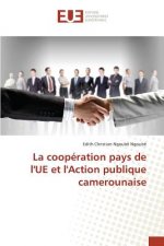 La Cooperation Pays de l'Ue Et l'Action Publique Camerounaise