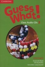 Guess What! Level 3 Class Audio CDs (2) British English