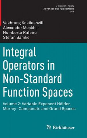 Integral Operators in Non-Standard Function Spaces