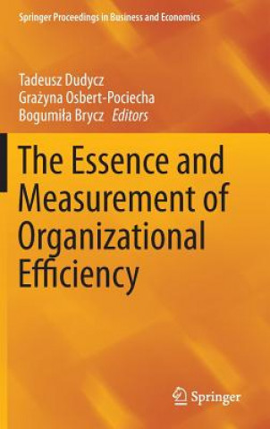 Essence and Measurement of Organizational Efficiency