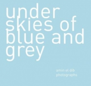 Under Skies of Blue and Grey
