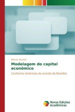 Modelagem do capital economico