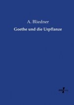 Goethe und die Urpflanze