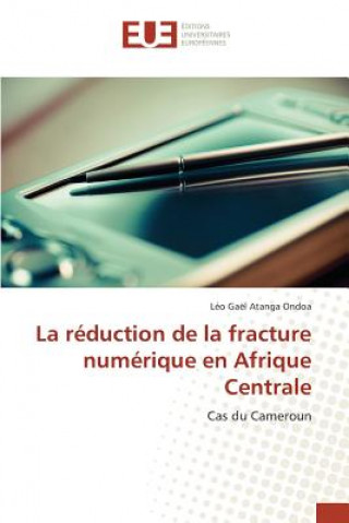 Reduction de la Fracture Numerique En Afrique Centrale