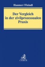 Der Prozessvergleich