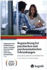 Begutachtung bei psychischen und psychosomatischen Erkrankungen