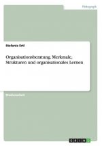 Organisationsberatung. Merkmale, Strukturen und organisationales Lernen