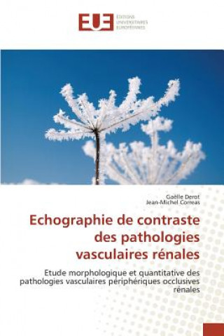 Echographie de Contraste Des Pathologies Vasculaires Renales