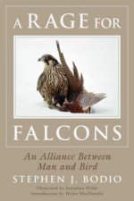 Rage for Falcons