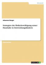 Strategien der Risikobewältigung armer Haushalte in Entwicklungsländern