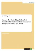Analyse der Controllingeffizienz bei kapitalmarktorientierten Unternehmen am Beispiel von adidas und PUMA