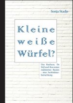 Kleine weisse Wurfel? Das Bauhaus, De Stijl und ihre ersten realisierten Bauten - eine Architekturbetrachtung