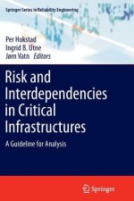 Risk and Interdependencies in Critical Infrastructures