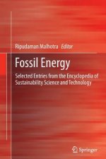 Fossil Energy