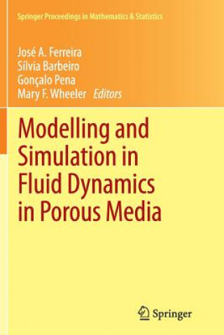 Modelling and Simulation in Fluid Dynamics in Porous Media