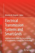 Electrical Transmission Systems and Smart Grids