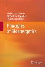 Principles of Bioenergetics