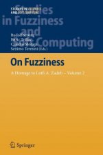 On Fuzziness