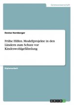 Fruhe Hilfen. Modellprojekte in den Landern zum Schutz vor Kindeswohlgefahrdung
