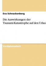 Die Auswirkungen der Tsunami-Katastrophe auf den Urlaubsmarkt