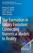 Star Formation in Galaxy Evolution: Connecting Numerical Models to Reality