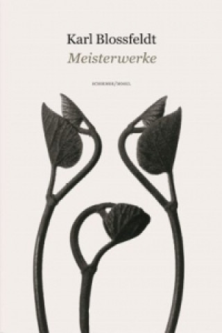 Masterworks