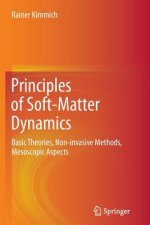 Principles of Soft-Matter Dynamics