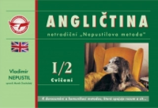 Angličtina I/2 - Cvičenie