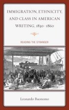 Immigration, Ethnicity, and Class in American Writing, 1830-1860