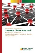 Strategic Choice Approach