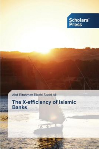 X-efficiency of Islamic Banks