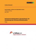 Emissionsrechtehandel in Deutschland. Zur Umsetzung des Klimazertifikatshandels