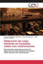 Obtencion de rutas minimas en trazados viales con restricciones