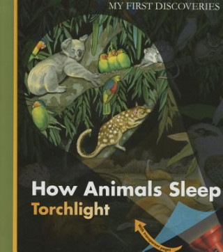 How Animals Sleep