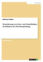 Einschatzung von Error- und Fraud-Risiken im Rahmen der Abschlussprufung