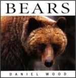 Bears