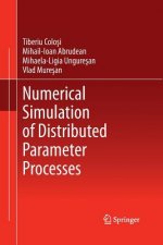 Numerical Simulation of Distributed Parameter Processes