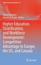 Higher Education, Stratification, and Workforce Development