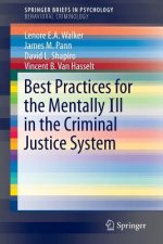 Best Practices for the Mentally Ill in the Criminal Justice System