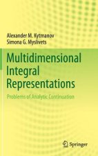 Multidimensional Integral Representations