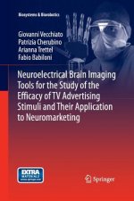 Neuroelectrical Brain Imaging Tools for the Study of the Efficacy of TV Advertising Stimuli and their Application to Neuromarketing