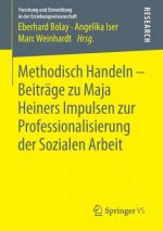 Methodisch Handeln - Beitrage zu Maja Heiners Impulsen zur Professionalisierung der Sozialen Arbeit