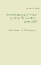 Veranderungsprozesse erfolgreich meistern, aber wie?