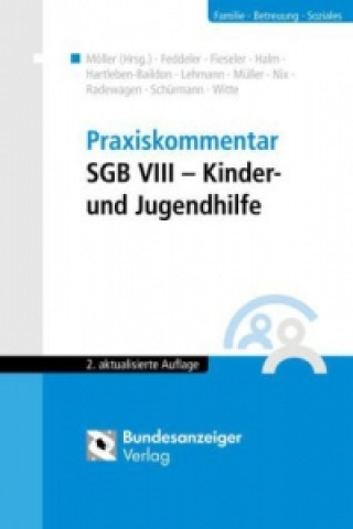 Praxiskommentar SGB VIII - Kinder- und Jugendhilfe (KJHG)